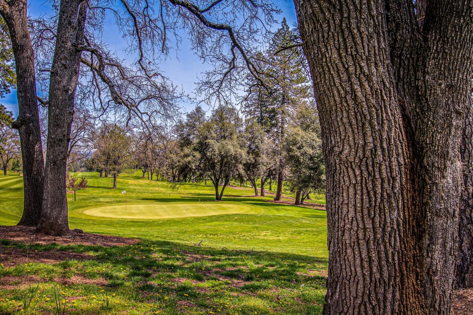 Pine Mountain Magic Villa Groveland Dış mekan fotoğraf