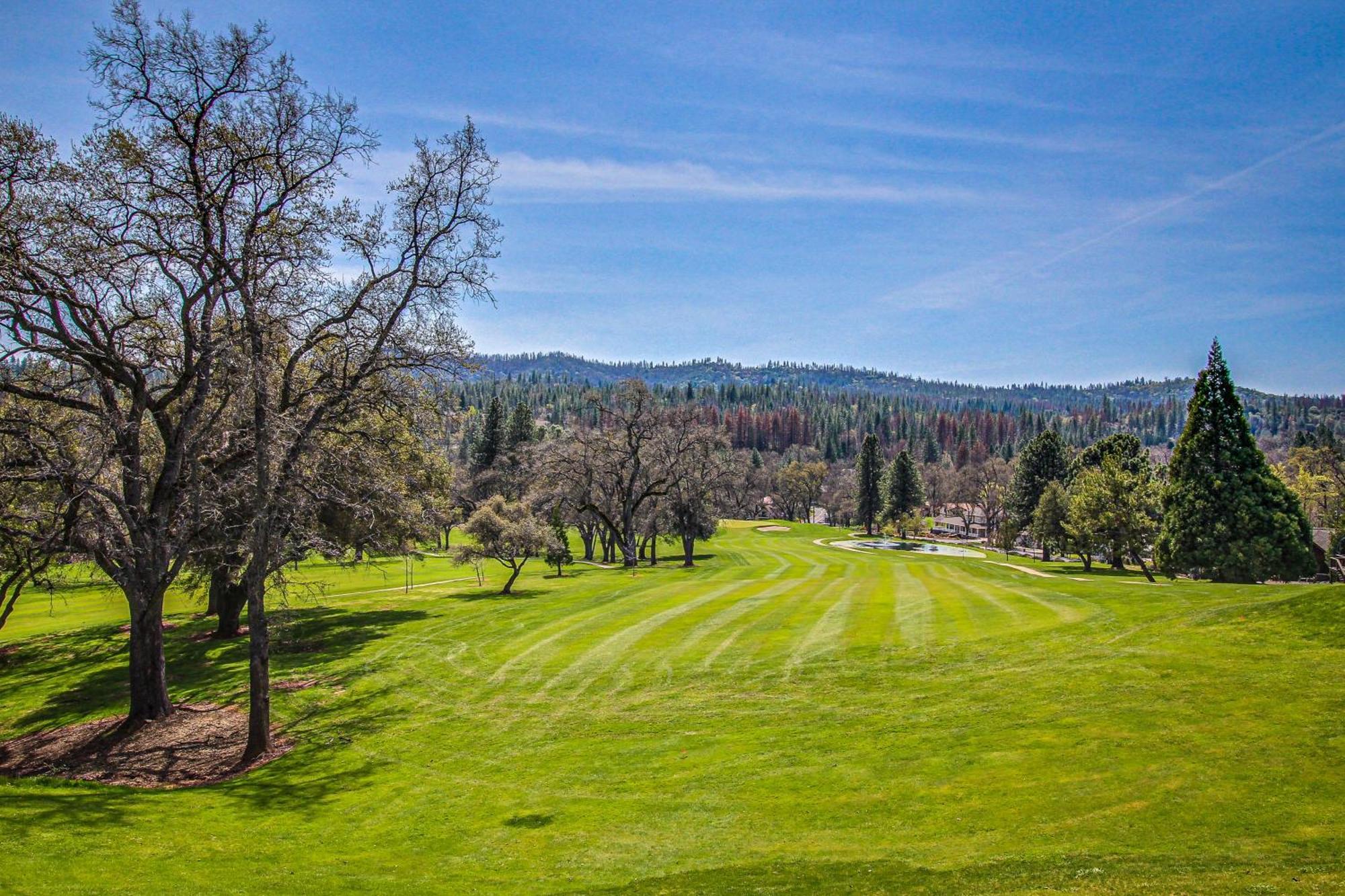 Pine Mountain Magic Villa Groveland Dış mekan fotoğraf